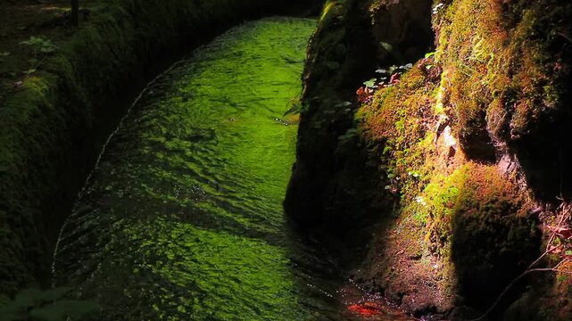 A 20-second video still shot of the Aguzou River in the Hautes Corbi&egrave;res mountains of southern France. Small waterfalls in the middle of the forest.
