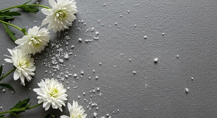 Serene composition of white chrysanthemums and scattered salt crystals on textured gray backdrop