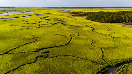 Lush green marshlands with winding waterways showcase nature's intricate beauty in a tranquil landscape