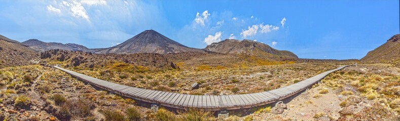 Wooden trail curving through volcanic plains