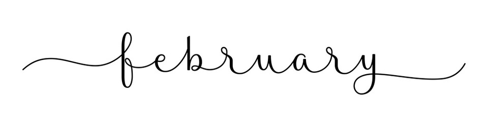 Naklejka na ściany i meble FEBRUARY black brush calligraphy banner on transparent background