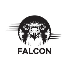 falcon's face  with white background unique design
