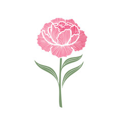 Pink carnation flower illustration on black background single floral art with stem and leaves delicate botanical design drawing
