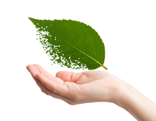 Hand holding a green leaf with digital pixel transition, symbolizing nature and technology, isolated on a transparent background