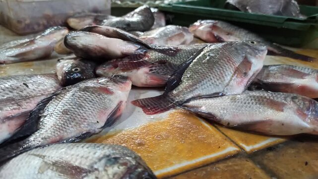 Fresh tilapia fish arranged for sale in a bustling traditional market, offering a glimpse into local Indonesian seafood trade and culinary culture