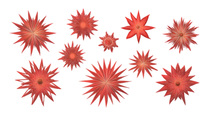 Collection of red star shaped micro organisms.