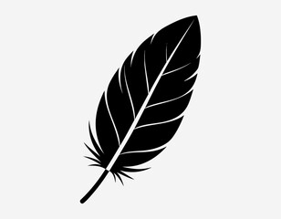Feather Silhouette with Sharp Detail on White Background