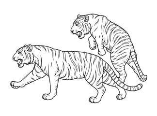 Tiger Illustration Pack – Monochrome Wildlife Line Art on White Background