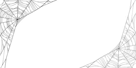 Halloween Cobweb frame border, spider web Vector Isolated on Transparent Background. Vector eps