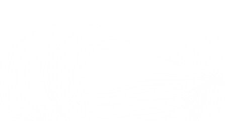 Clean, seamless white texture. Perfect for backgrounds and designs.