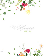Wildflowers and plants vector design frame. Hand painted meadow branches, flowers, leaves on white background. Greenery wedding invitation. Watercolor style card. Elements are isolated and editable