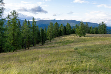 Hochrindl Alm K&auml;rnten in &Ouml;sterreich