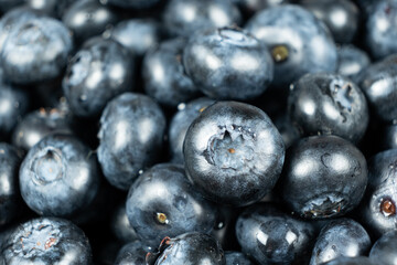 Macro Texture of Fresh Blueberries Close-Up.