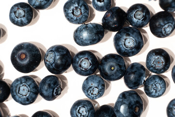 Summer berry background of fresh blueberries in water top view