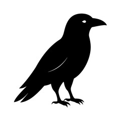 Black crow silhouette standing bird