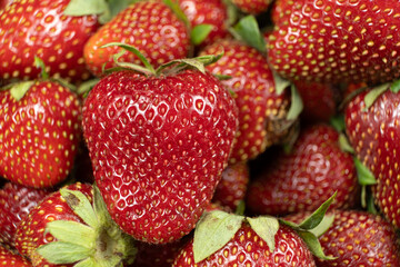 Fresh Ripe Strawberries. Summer Berry Background
