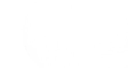 Clean, simple white background texture. Perfect for websites, presentations, and designs.