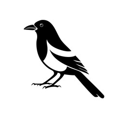 Obraz premium Magpie Bird Black Glyph Icon