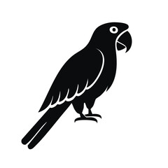 Obraz premium Parrot Black Glyph Icon