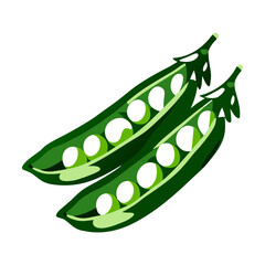 Snow peas pod vector illustration with fresh design for health and cooking 