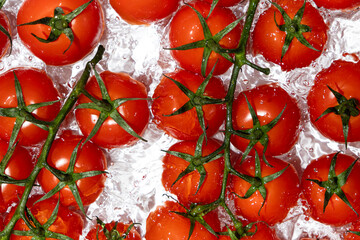 Top View of Vine Tomatoes in Water Splash.