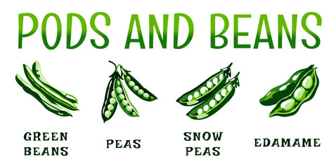 Vector set of green beans, peas, snow peas, and edamame with text on white background