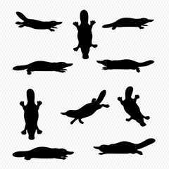 Collection of platypus silhouettes in various poses, including swimming, lying down, and viewed from above.