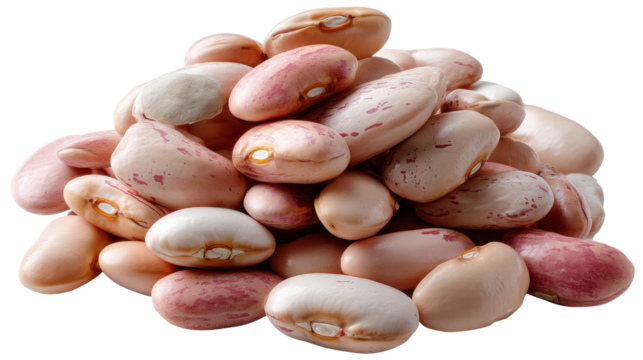 Pinto bean pile isolated on transparent background with natural color and texture visible