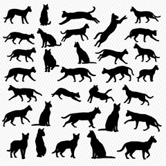 A collection of black cat silhouettes in various poses, including standing, sitting, walking, jumping, and stretching, against a neutral background.