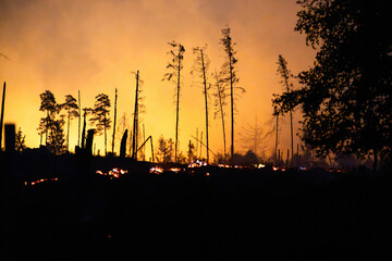 Waldbrand in Thüringen außer Kontrolle