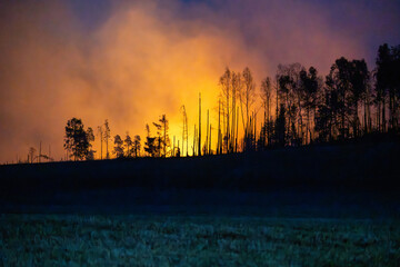 Waldbrand in Thüringen außer Kontrolle