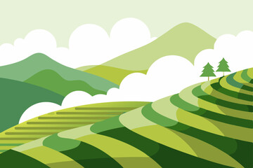 Fototapeta premium hillside tea plantation with terraced rows 