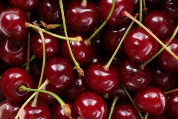 Many fresh ripe cherries as background, closeup