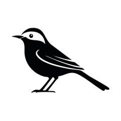 Obraz premium Wagtail Black Glyph Icon