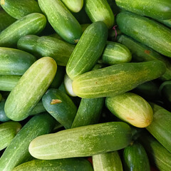 Fresh Green Cucumbers Stack in Local Market
