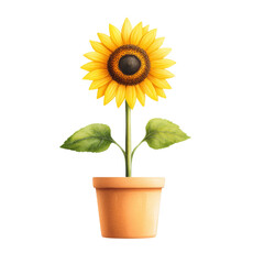 Obraz premium Vibrant sunflower in a terracotta pot