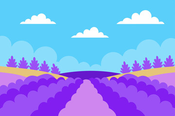 vast lavender field under a bright blue sky with 