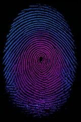 Fingerprint Texture in High-Detail Macro