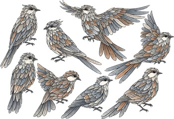 Abstract Vector of 9 Birds with Soft Feather Textures, Artistic and Elegant Design