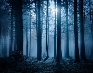 Fototapeta premium a dark misty forest with tall trees illuminated by moonlight creating an eerie mysterious atmosphere