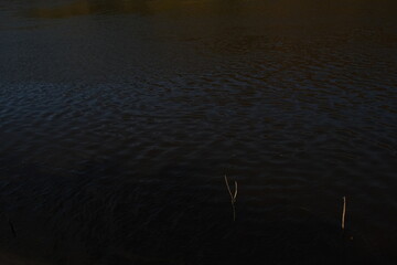 Serene Lake at Sunset in Bontebok National Park, Swellendam