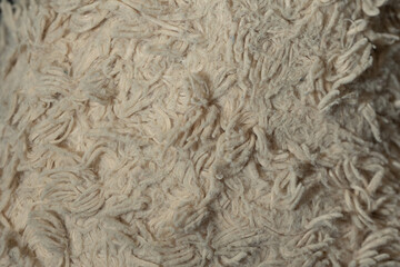 A close-up view reveals a textured surface made of soft, fluffy fibers intertwined in intricate patterns. The neutral tones create a warm and inviting appearance.