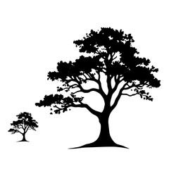 Obraz premium tall tree silhouette with small tree isolated on white background