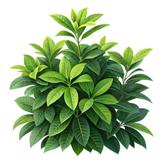 Lush Green Bush: Perfect for Landscaping Designs Isolated On Transparent Background