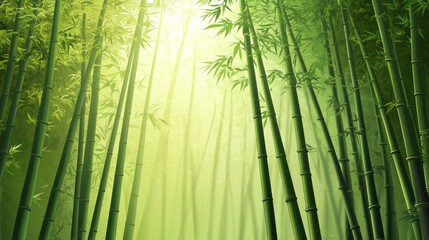 Sunlit bamboo forest with mist.