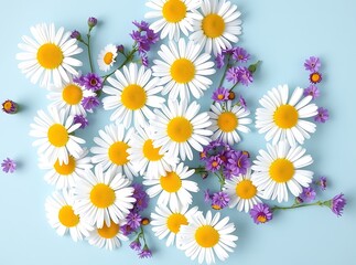 Obraz premium Floral Flourish: A captivating assortment of daisies and delicate purple blossoms gracefully arranged, creating a harmonious display of nature's elegance against a vibrant backdrop.