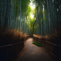 Fototapeta premium Bamboo Forest Path in Arashiyama, Japan