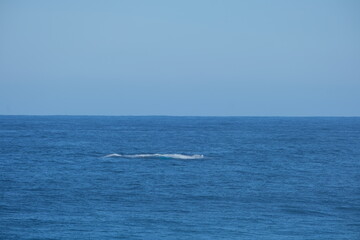 Obraz premium Majestic Ocean Waves in Tsitsikamma National Park