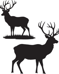 Silhouette of two deer with antlers standing in grass symbolizing wildlife forest elegance and peacefulness in nature and animal kingdom