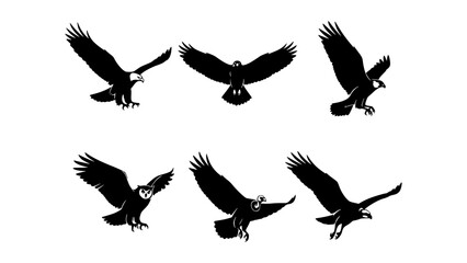 Obraz premium Black vector icon sheet of various birds of prey in flight. wings outstretched